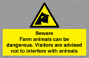 beware-farm-animals-can-be-dangerous-visitors-are-advised-not-to-interfere-with-~